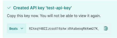 Elastic Agent API key